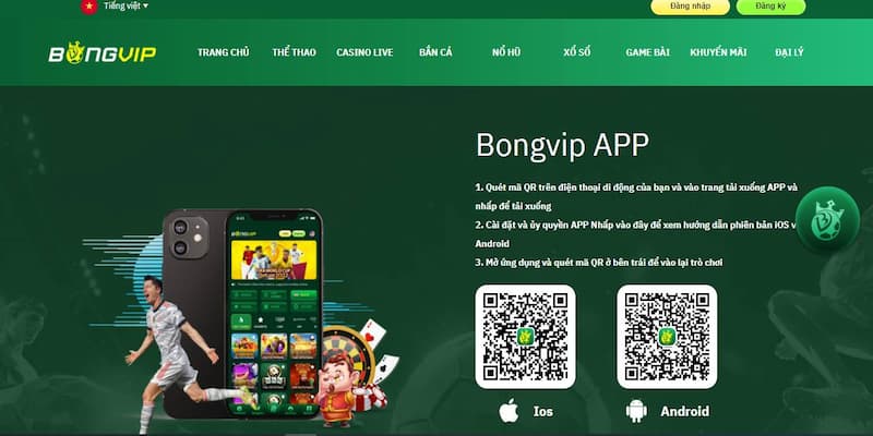 Tải App Bongvip Và Khám Phá Những Trận Đá Gà Thú Vị