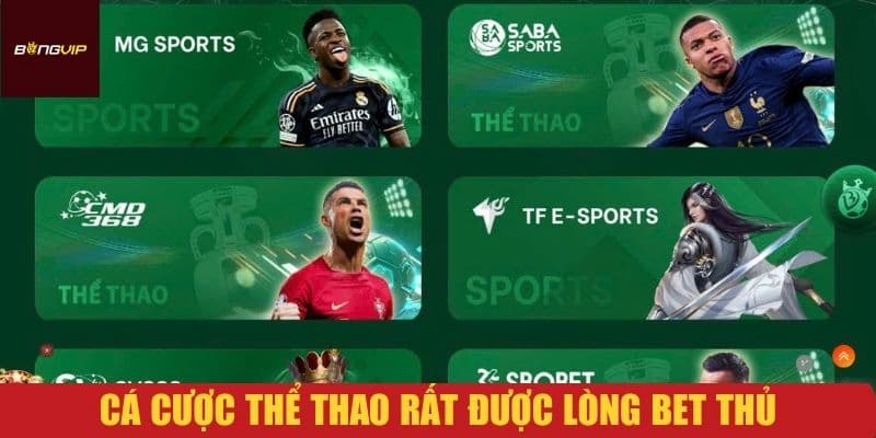 Bongvip - Các Hình Thức Đặt Cược Bóng Đá Được Ưa Chuộng Nhất